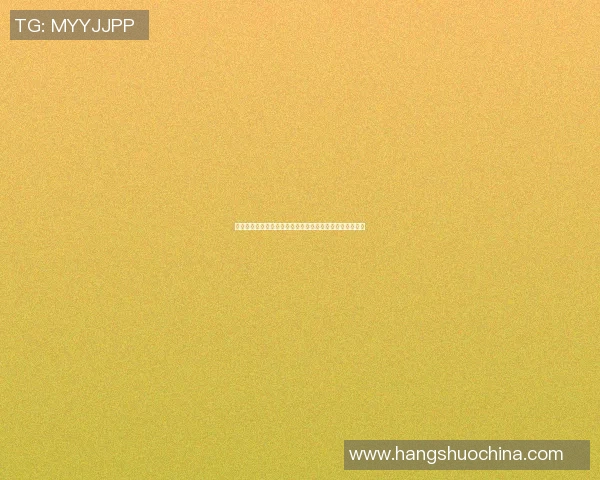 足球场上的绅士风范最有礼貌的足球明星背后的故事与精神
